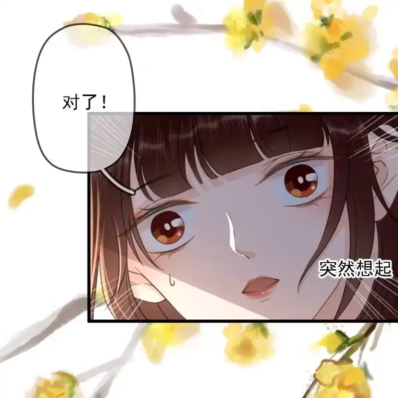 《王的宠妃》第184话 姐妹相见 第27页
