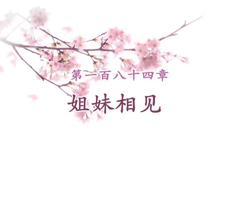 《王的宠妃》第184话 姐妹相见 第2页