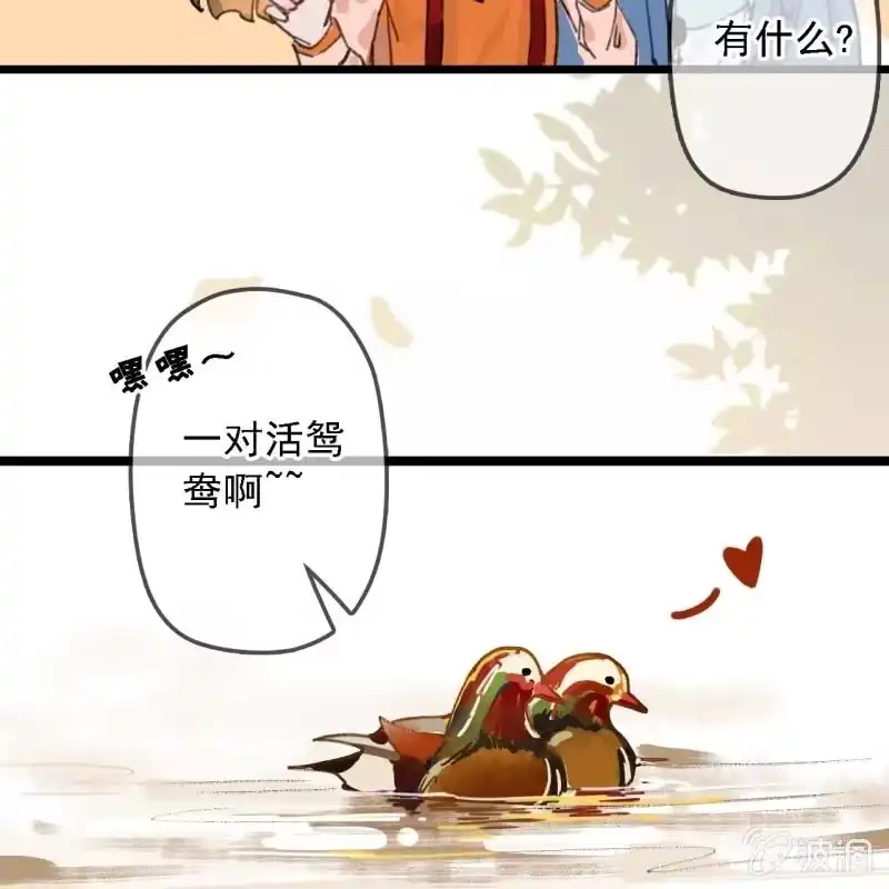 《王的宠妃》第190话 滴滴(2) 第41页