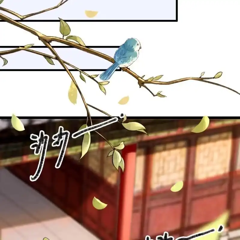 《王的宠妃》第191话 事后 第32页