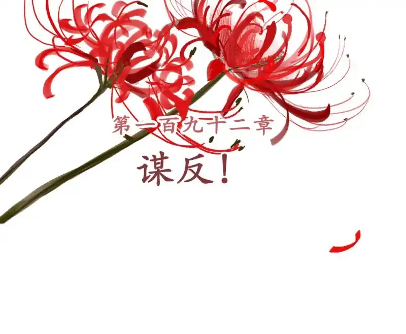 《王的宠妃》第192话 谋反！ 第2页