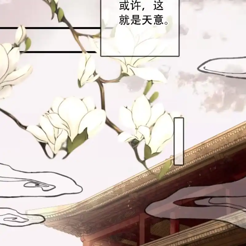《王的宠妃》第192话 谋反！ 第46页
