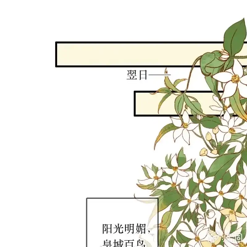 《王的宠妃》第204话 于是，终于 第29页