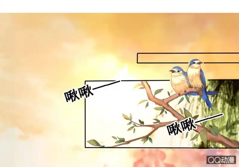 《王的宠妃》第20话 第4页