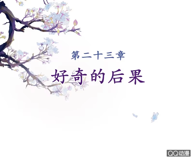 《王的宠妃》第23话 第2页