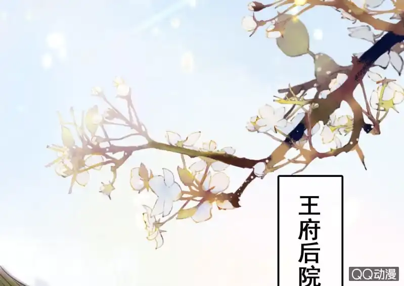 《王的宠妃》第23话 第11页