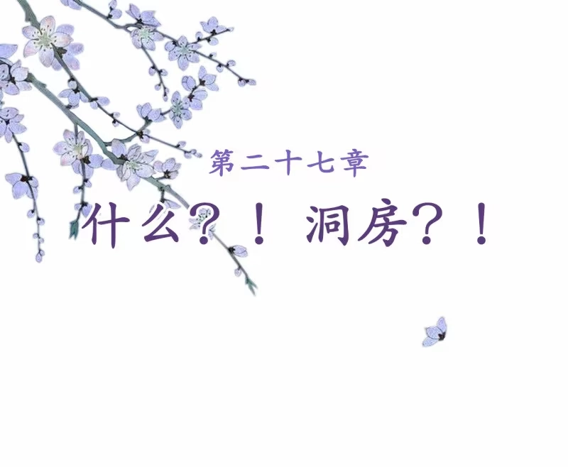 《王的宠妃》第27话 第2页