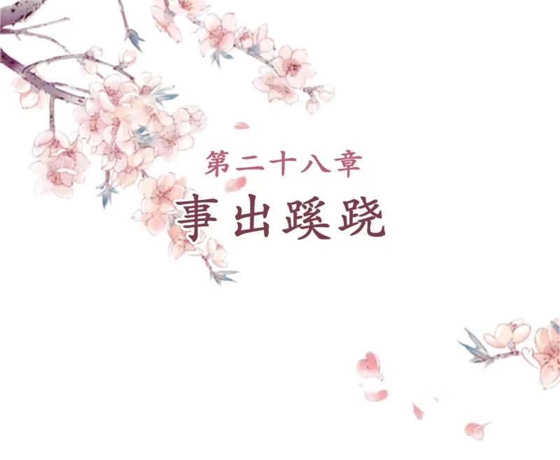 《王的宠妃》第28话 第2页