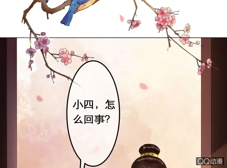 《王的宠妃》第29话 第4页