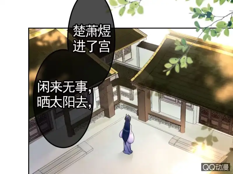 《王的宠妃》第30话 第25页