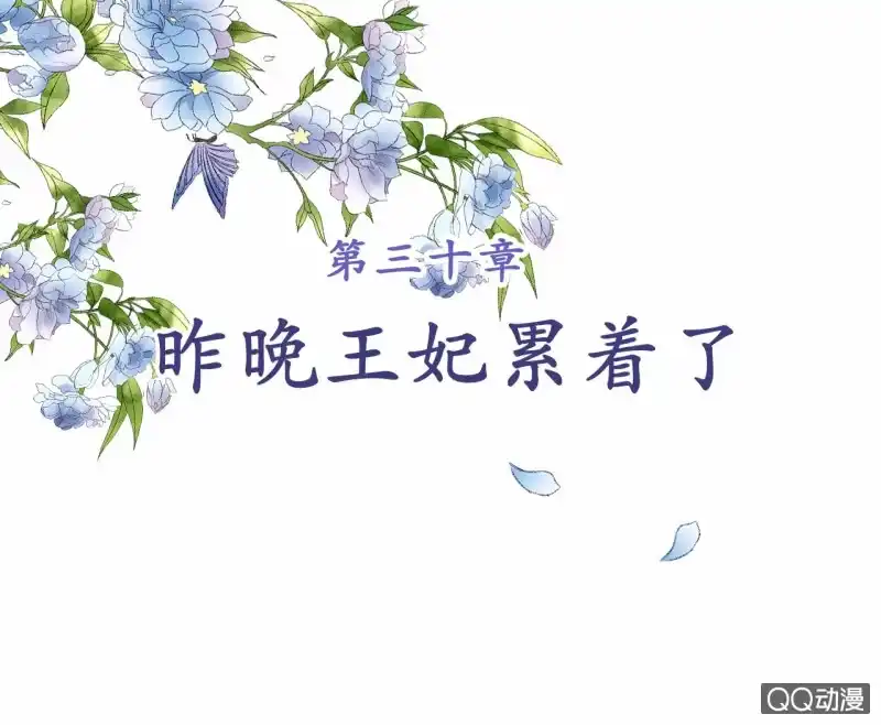 《王的宠妃》第30话 第2页