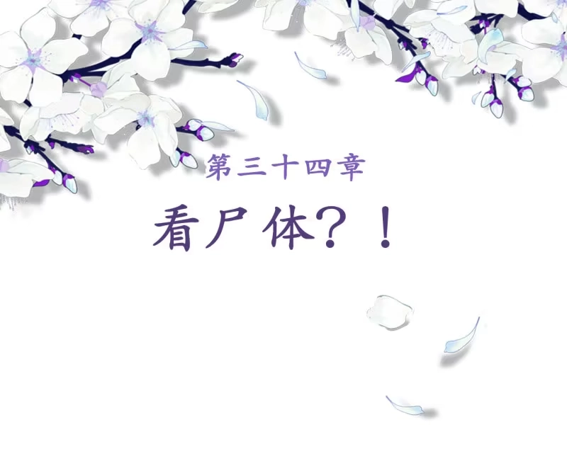 《王的宠妃》第34话 第2页