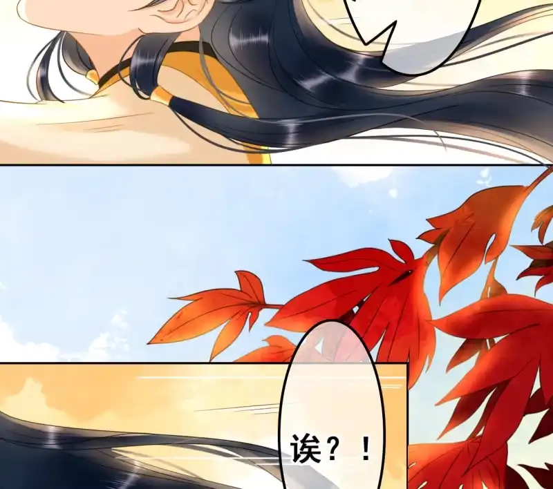 《王的宠妃》第35话 第35页