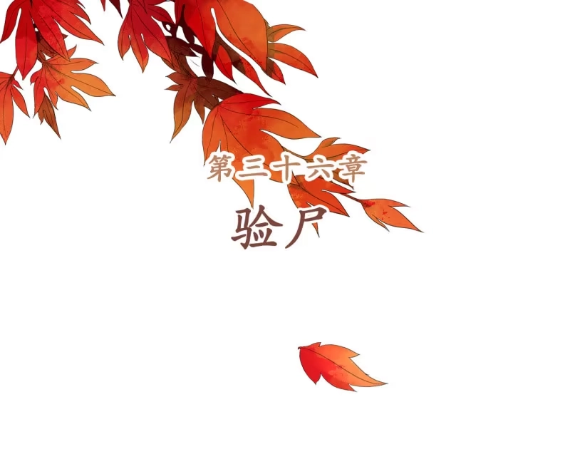 《王的宠妃》第36话 第2页