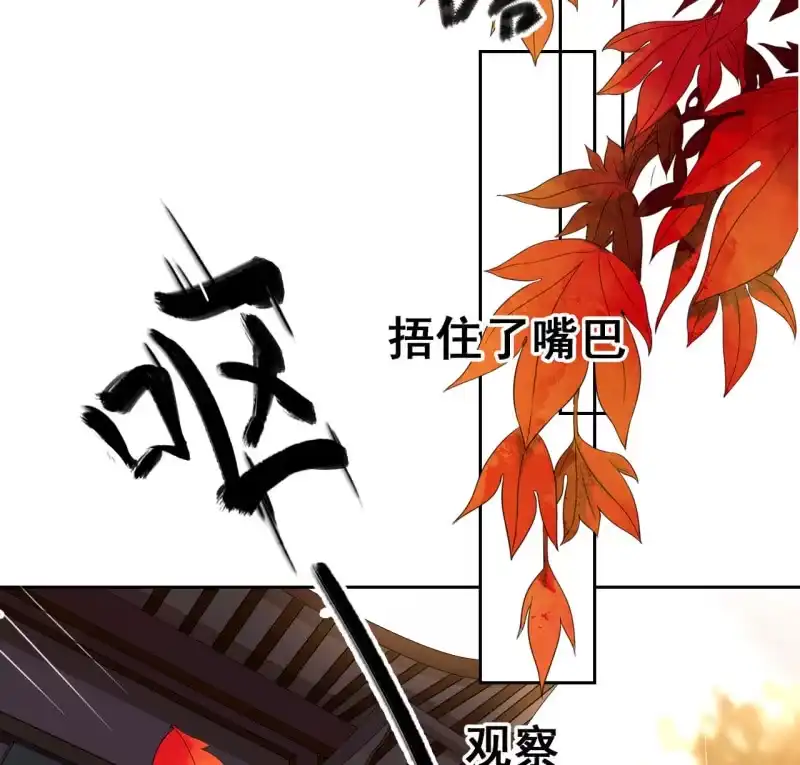《王的宠妃》第36话 第15页