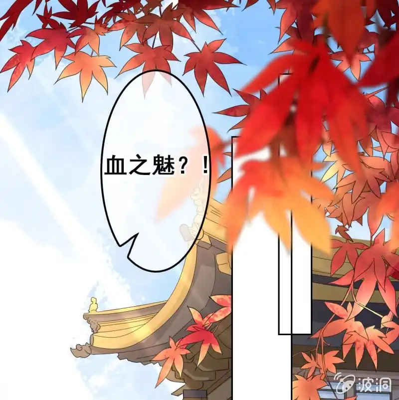 《王的宠妃》第37话 第3页