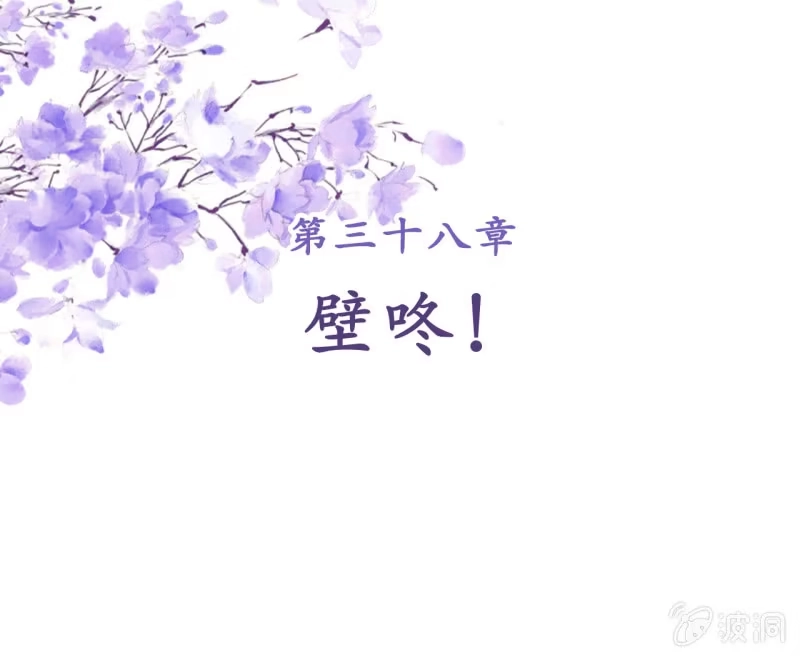 《王的宠妃》第38话 第2页
