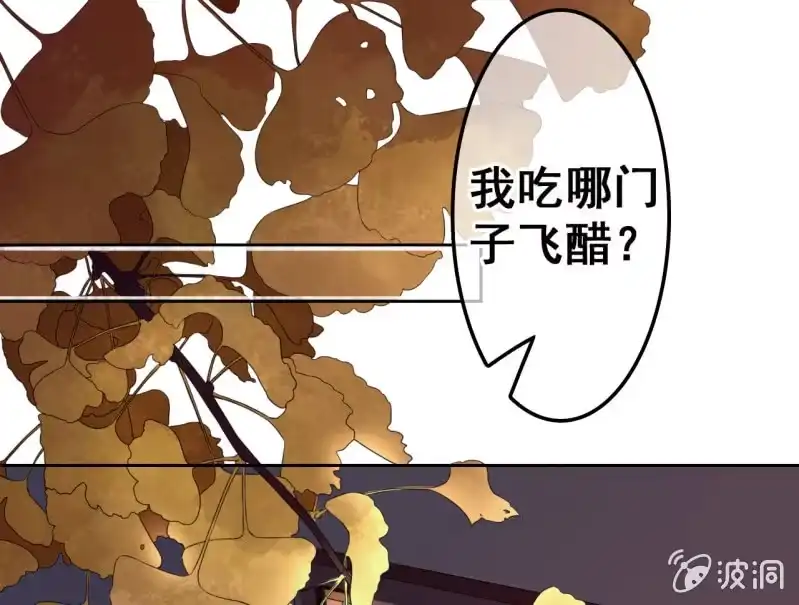 《王的宠妃》第41话 第3页