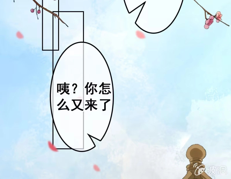 《王的宠妃》第41话 第34页