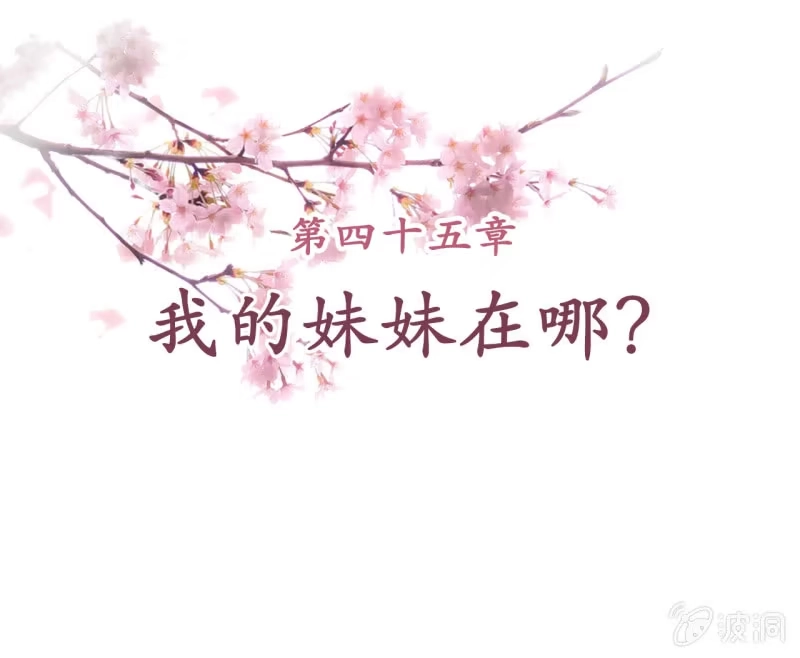 《王的宠妃》第45话 第2页