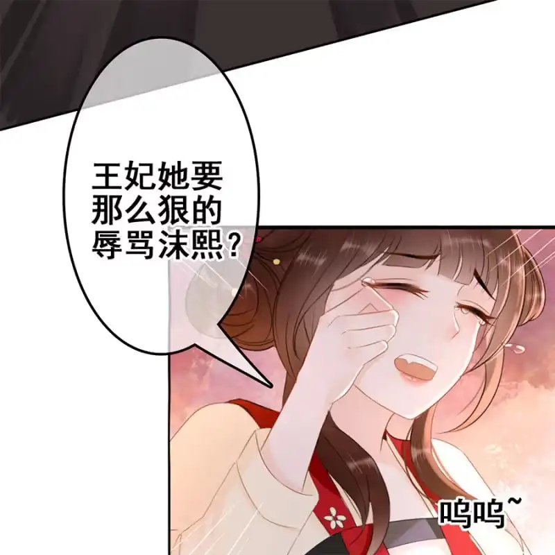 《王的宠妃》第55话 第14页