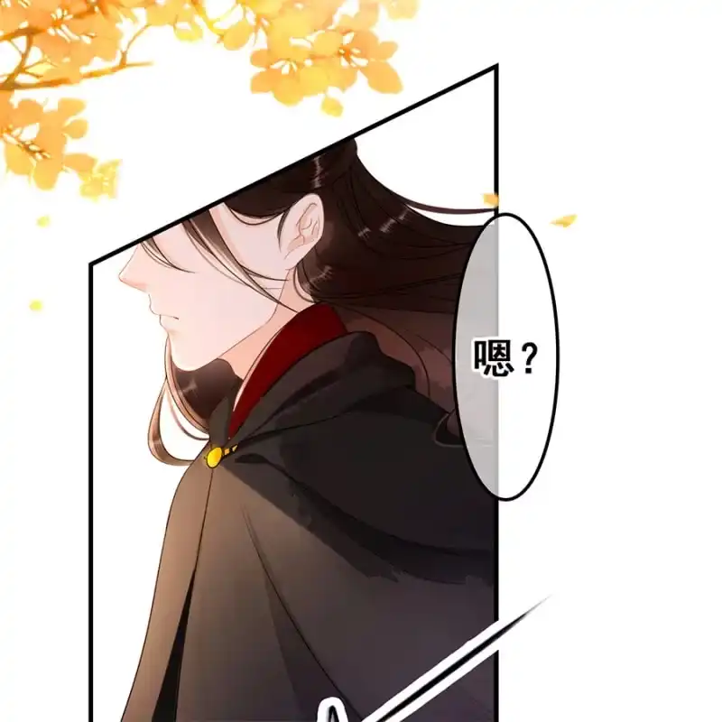 《王的宠妃》第55话 第31页