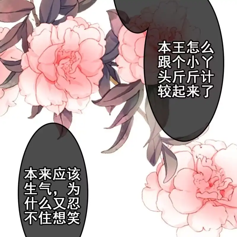 《王的宠妃》第56话 第41页