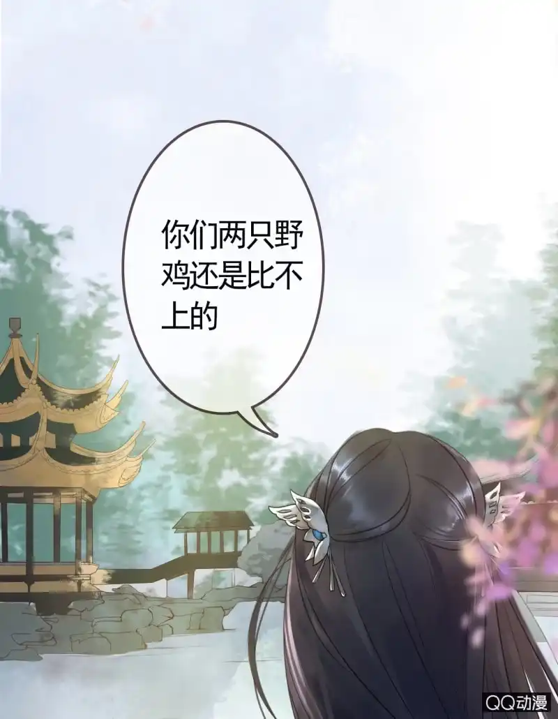 《王的宠妃》第5话 第13页