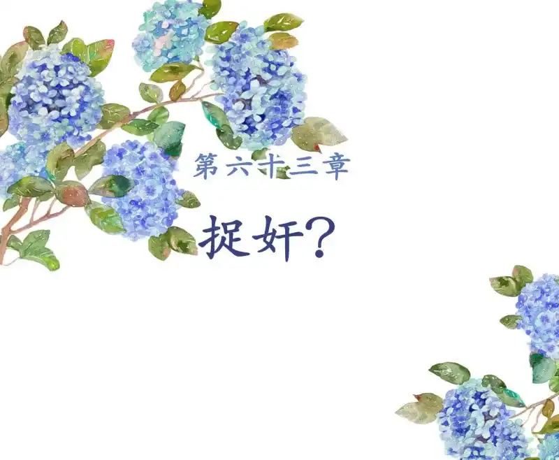 《王的宠妃》第63话 第2页