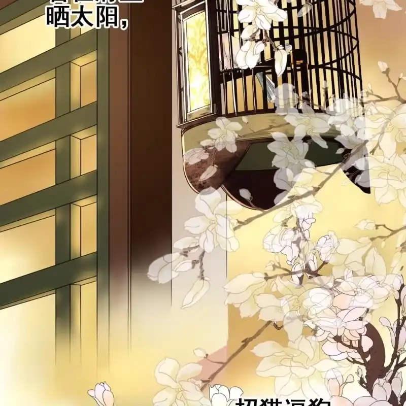 《王的宠妃》第66话 第4页