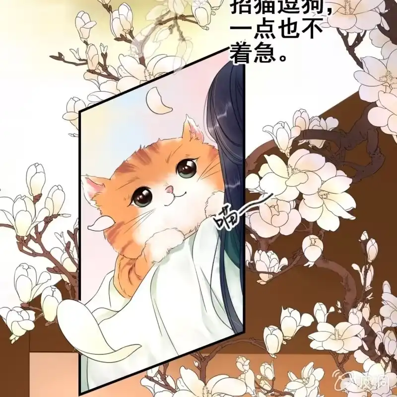 《王的宠妃》第66话 第5页