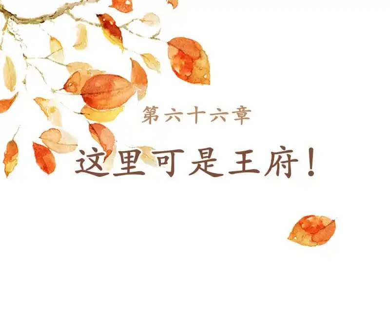 《王的宠妃》第66话 第2页