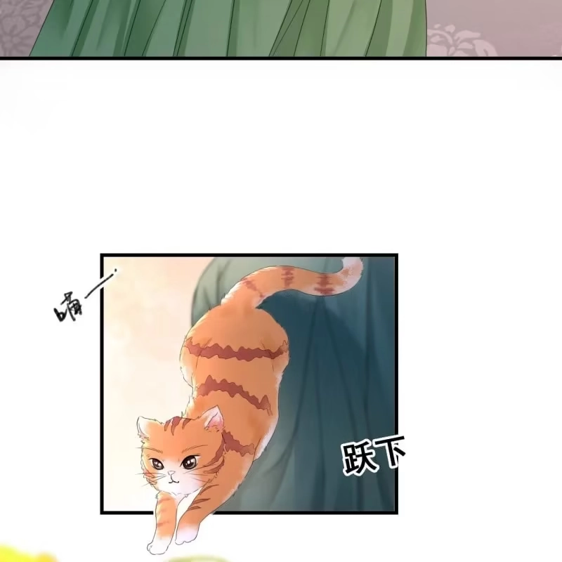 《王的宠妃》第66话 第19页