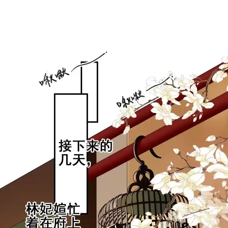 《王的宠妃》第66话 第3页