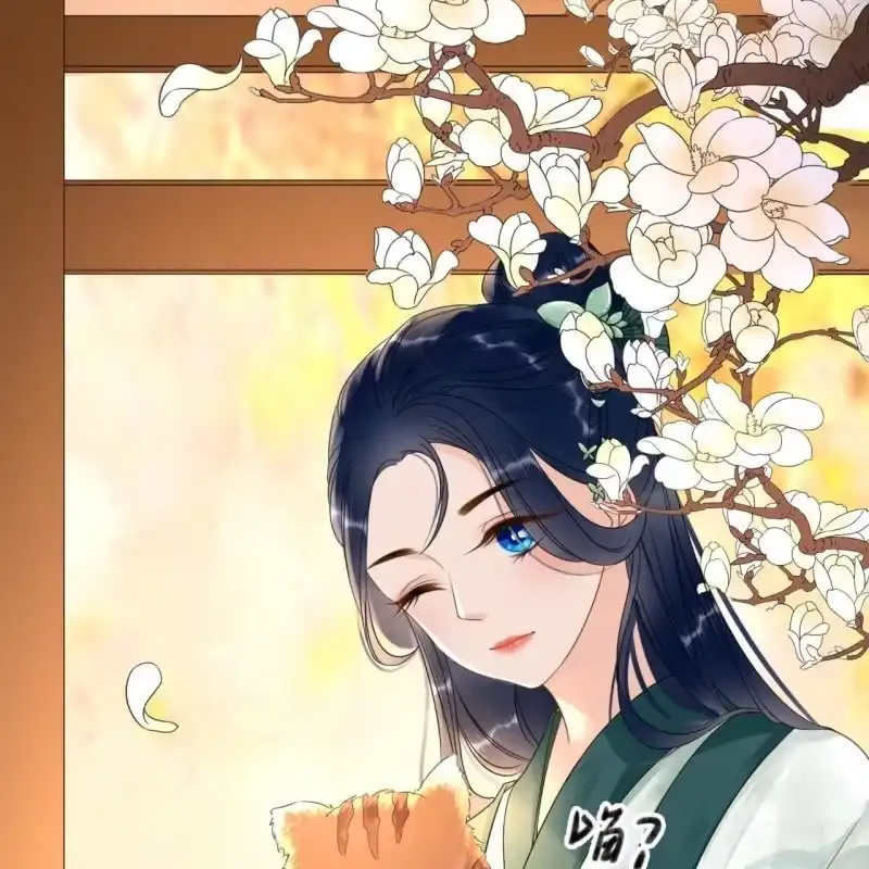 《王的宠妃》第66话 第6页