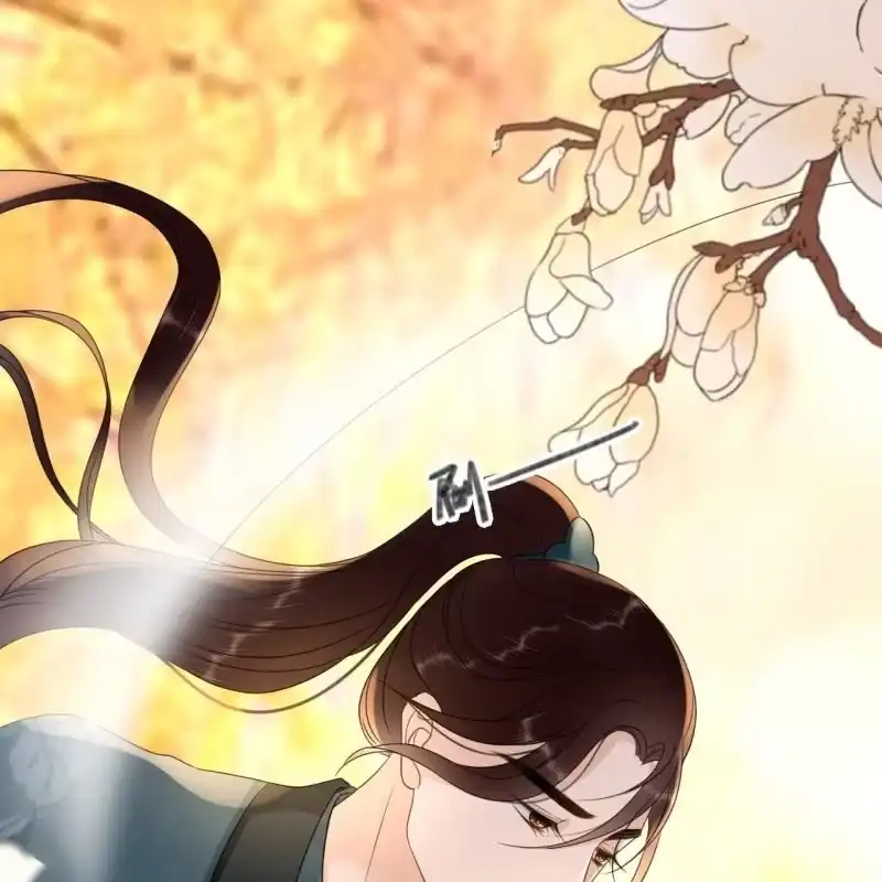 《王的宠妃》第67话 第24页