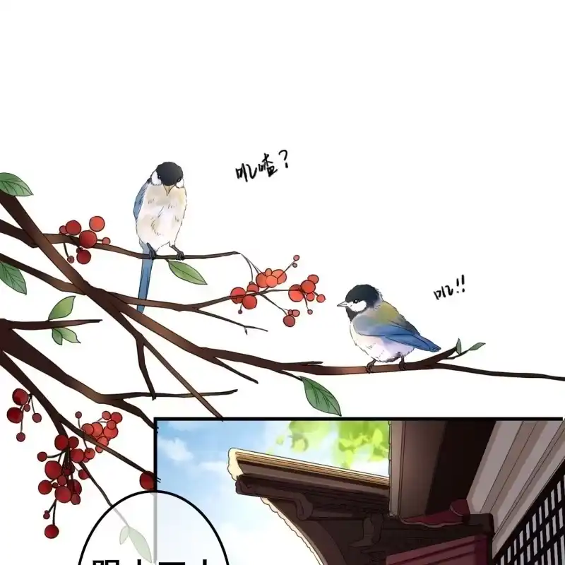 《王的宠妃》第68话 第23页