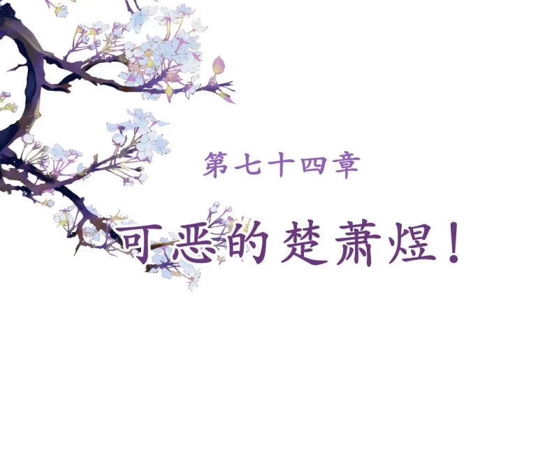 《王的宠妃》第74话 第2页