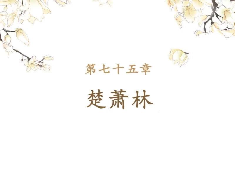 《王的宠妃》第75话 第2页