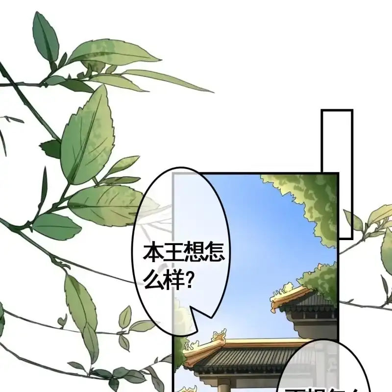 《王的宠妃》第77话 第3页