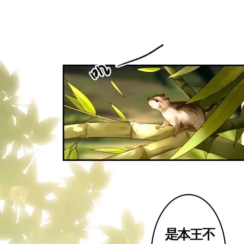 《王的宠妃》第81话 第21页