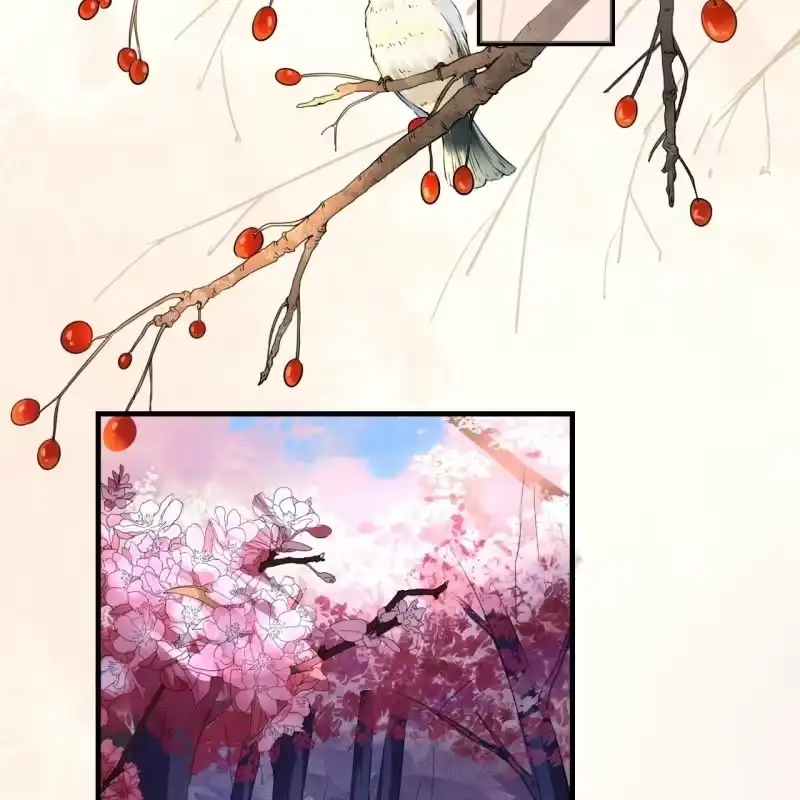 《王的宠妃》第84话 第4页