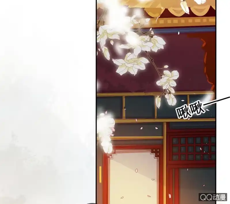 《王的宠妃》第8话 第40页