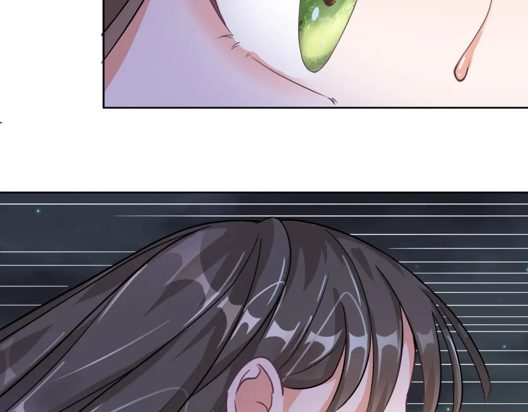 《王妃的成长攻略》1.01 穿越成丑女 第13页