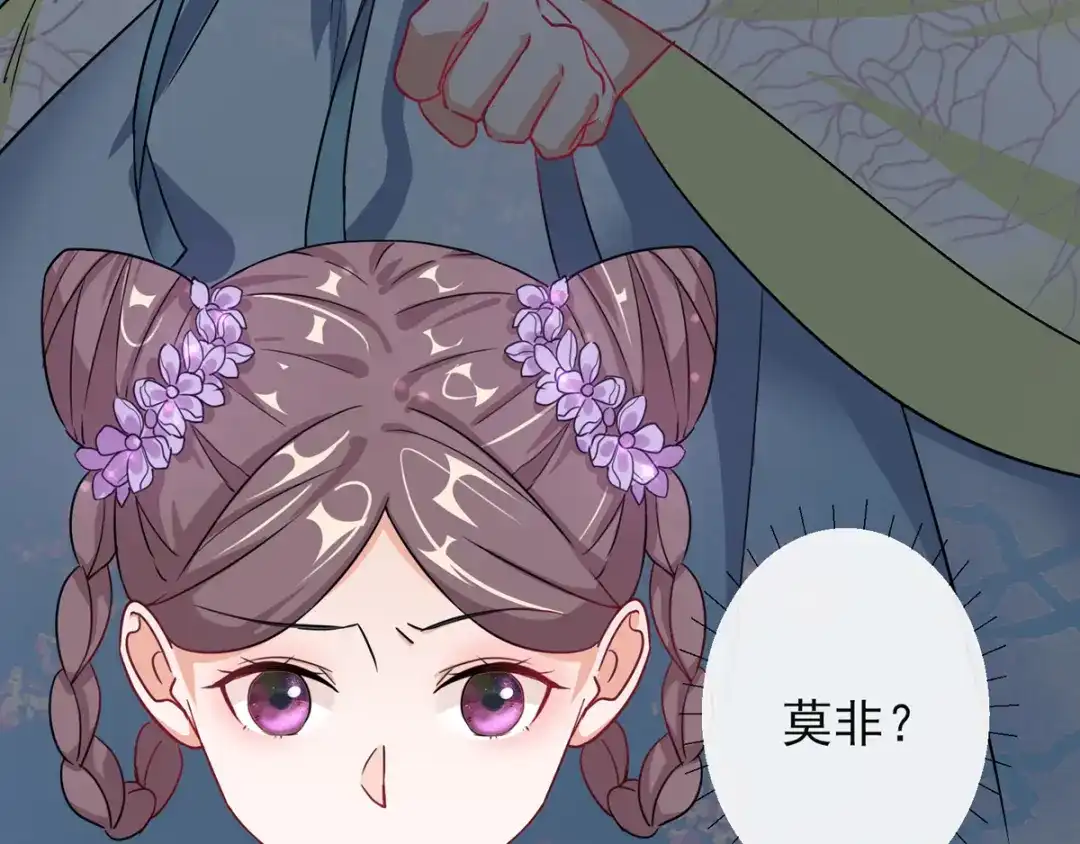 《王妃的成长攻略》1.01 穿越成丑女 第113页