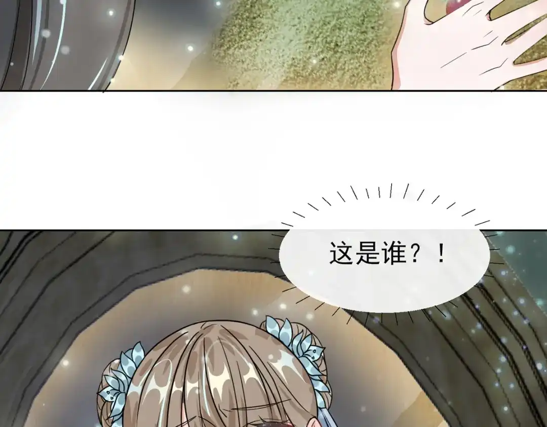 《王妃的成长攻略》1.01 穿越成丑女 第29页
