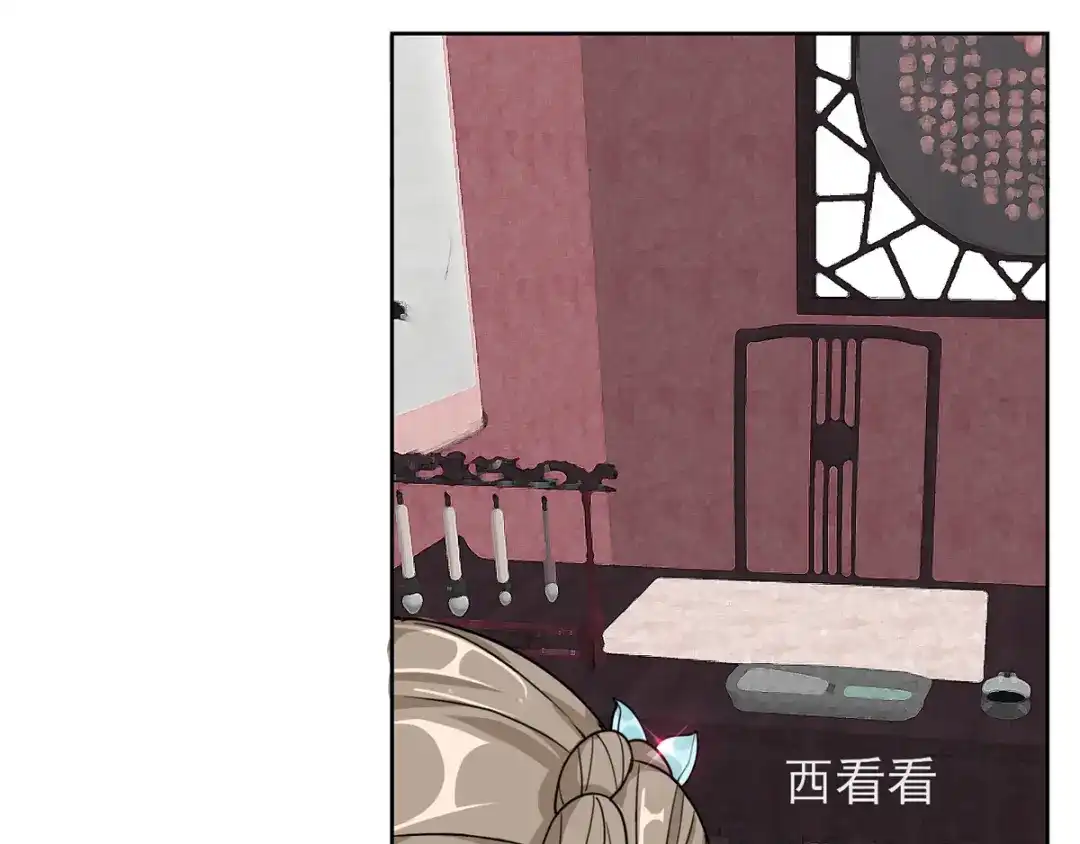 《王妃的成长攻略》1.01 穿越成丑女 第98页