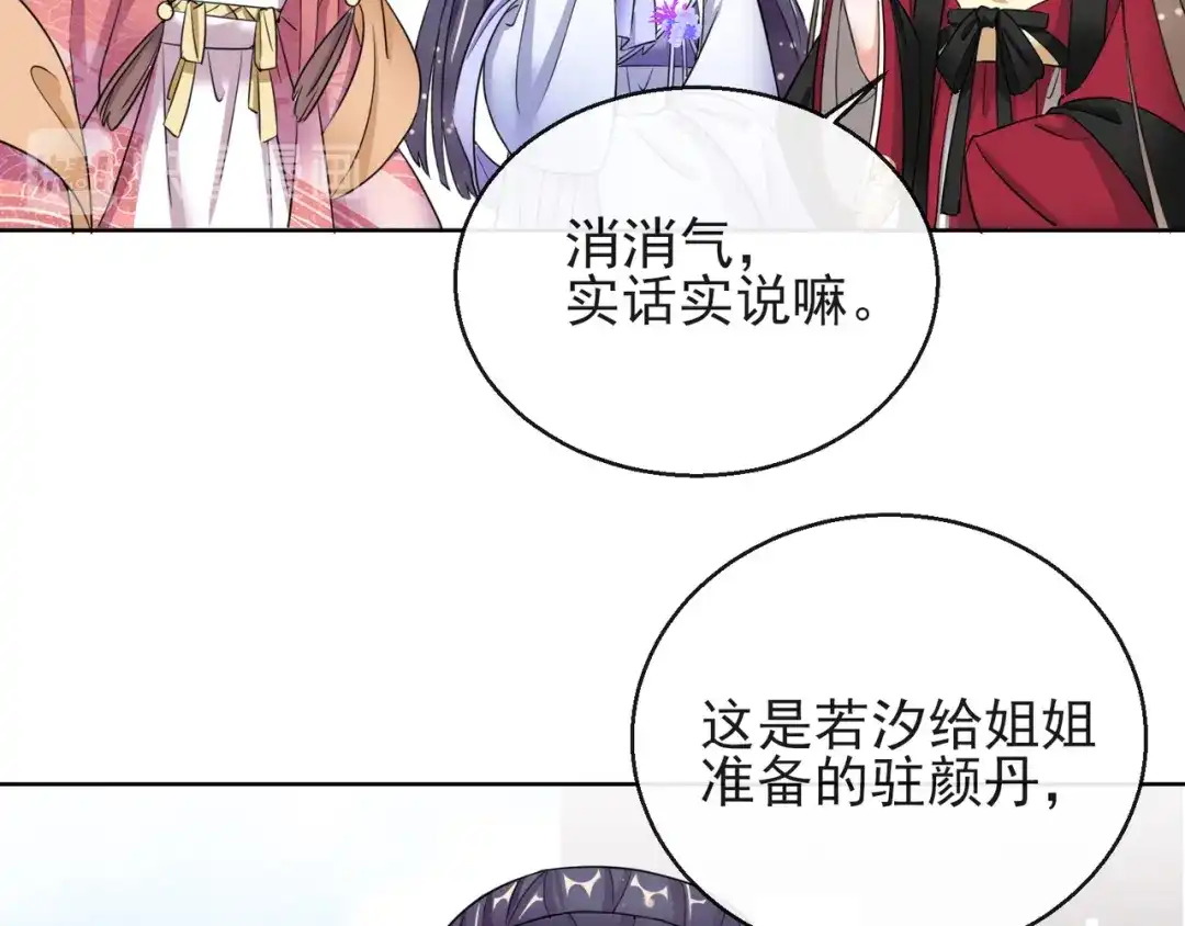 《王妃的成长攻略》1.13 宁王与逍遥王 第13页