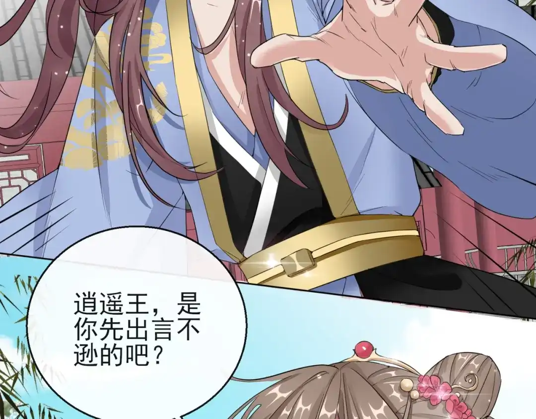 《王妃的成长攻略》1.14 皇子的玉佩 第13页