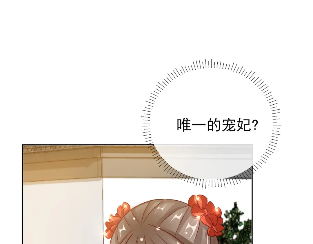 《王妃的成长攻略》1.25 唯一的宠妃 第17页